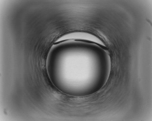 X0000095910025200801181405