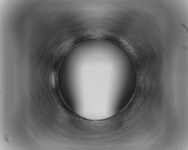 X0000095910026200801181405