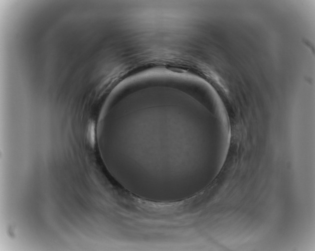 X0000095910027200801181405