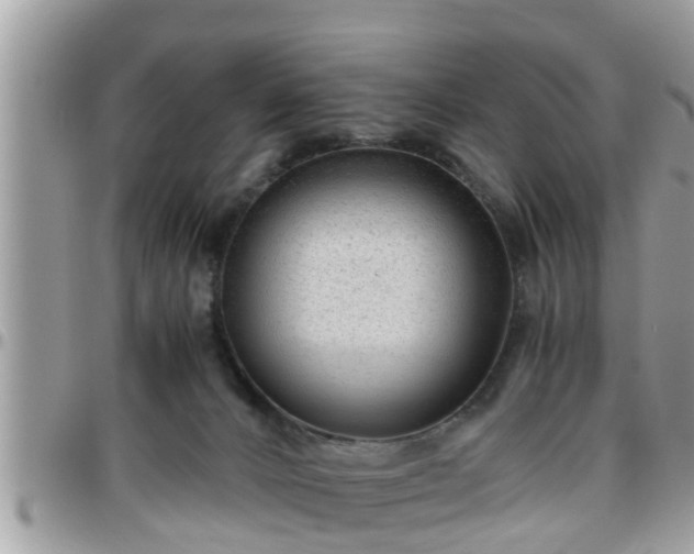 X0000095910032200801181405