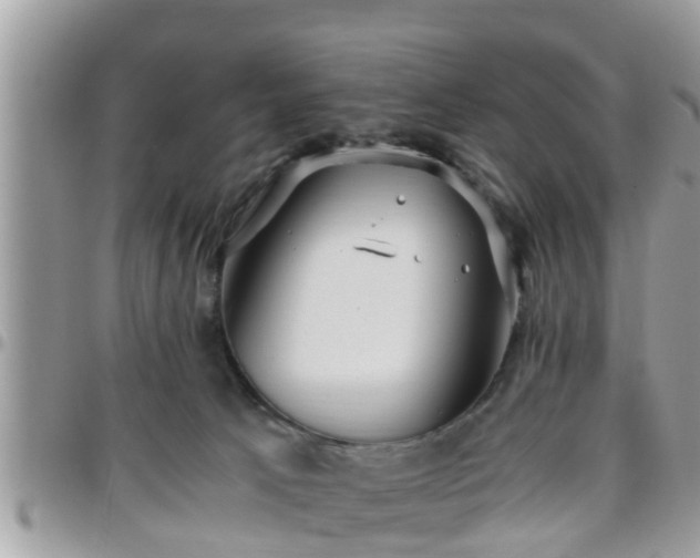 X0000095910033200801181405