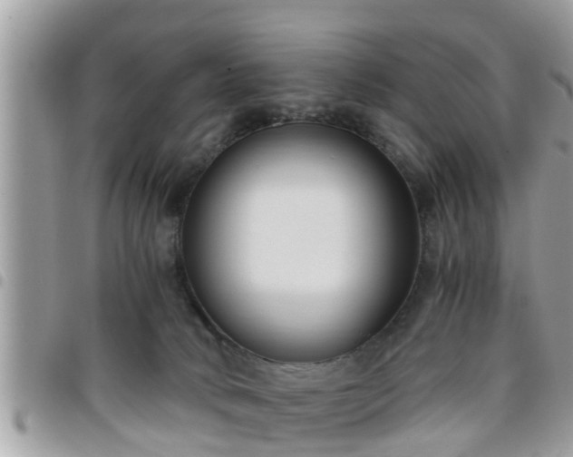 X0000095910034200801181405