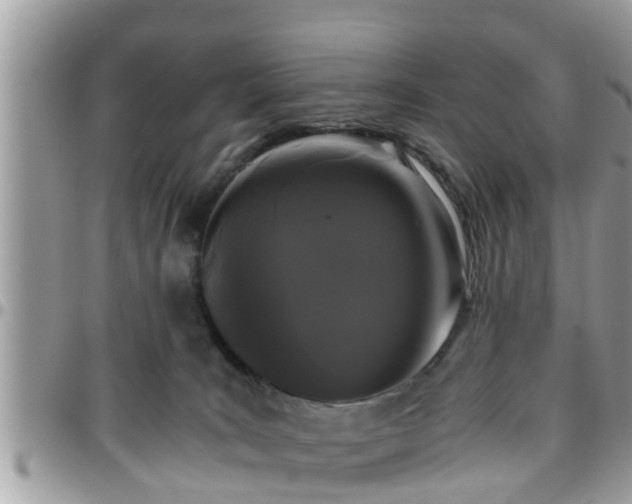 X0000095910035200801181405