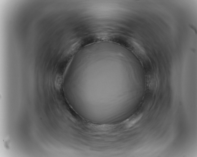 X0000095910036200801181405