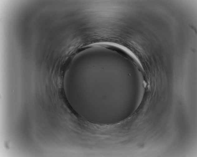 X0000095910039200801181405