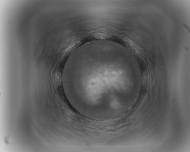 X0000095910043200801181405