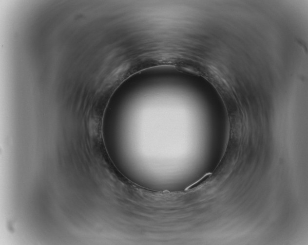 X0000095910044200801181405