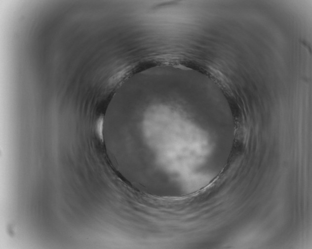 X0000095910047200801181405