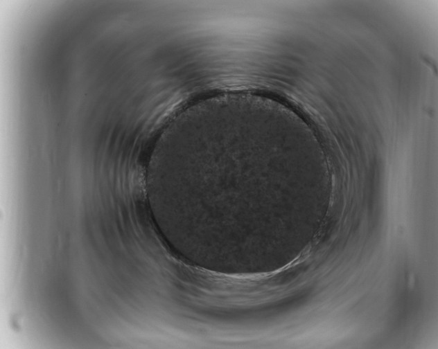 X0000095910048200801181405