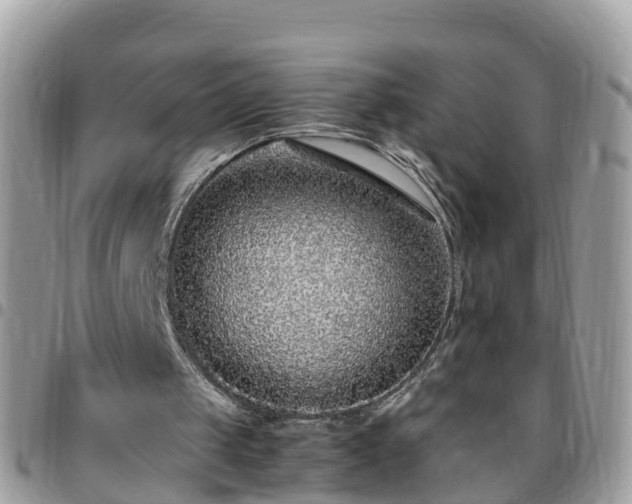 X0000095910049200801181404