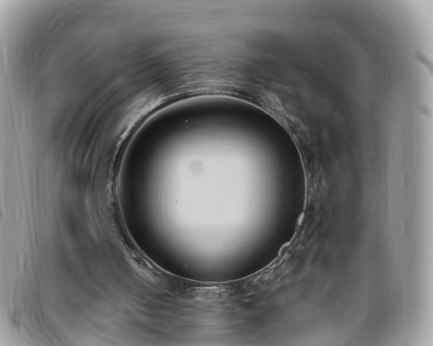 X0000095910050200801181404