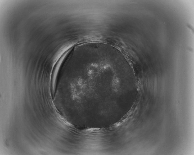 X0000095910052200801181404