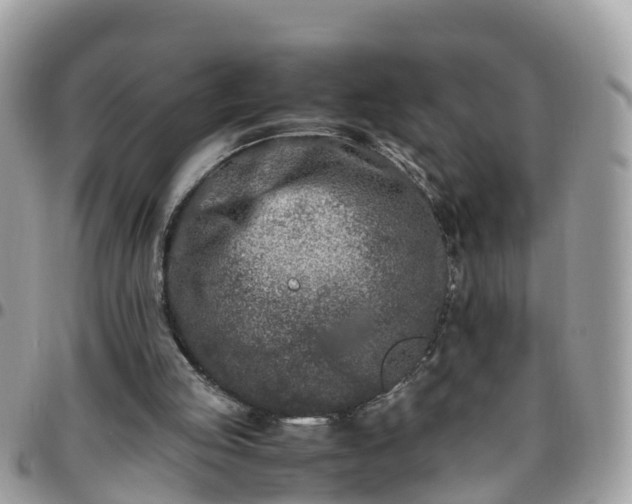 X0000095910053200801181404