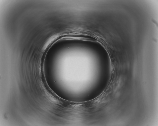 X0000095910054200801181404