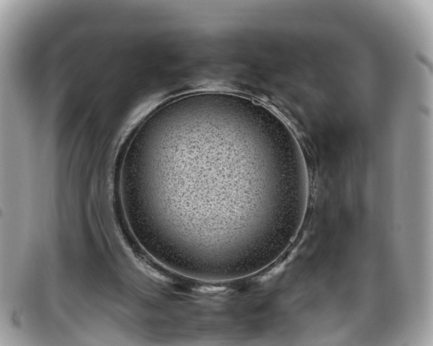 X0000095910055200801181404