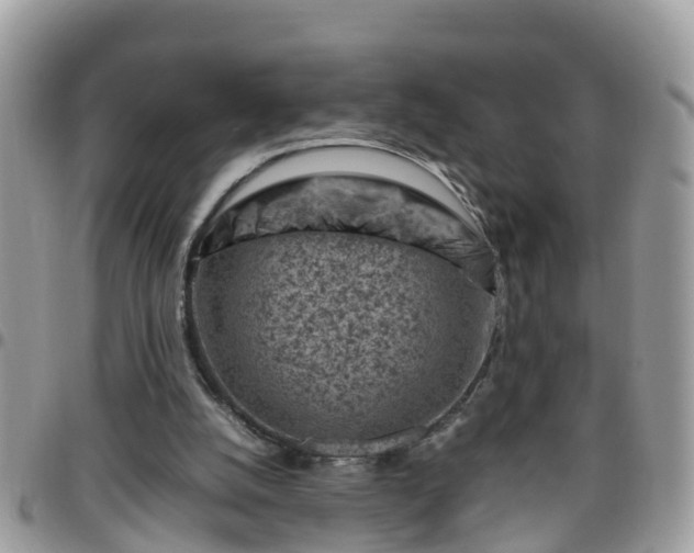 X0000095910056200801181404