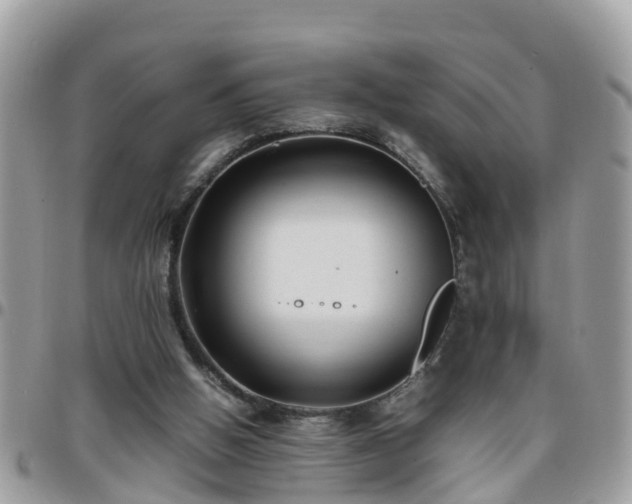 X0000095910058200801181404