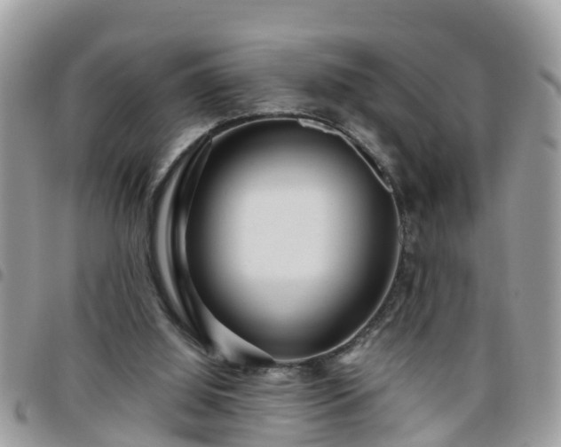 X0000095910060200801181405