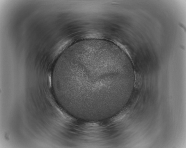 X0000095910061200801181405