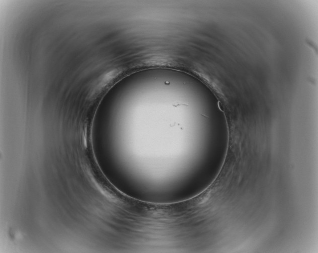 X0000095910062200801181405