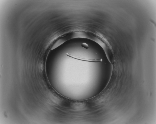 X0000095910063200801181405