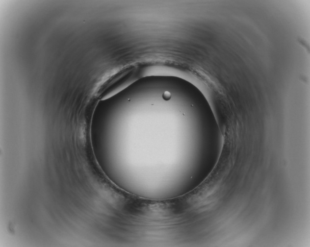 X0000095910064200801181405