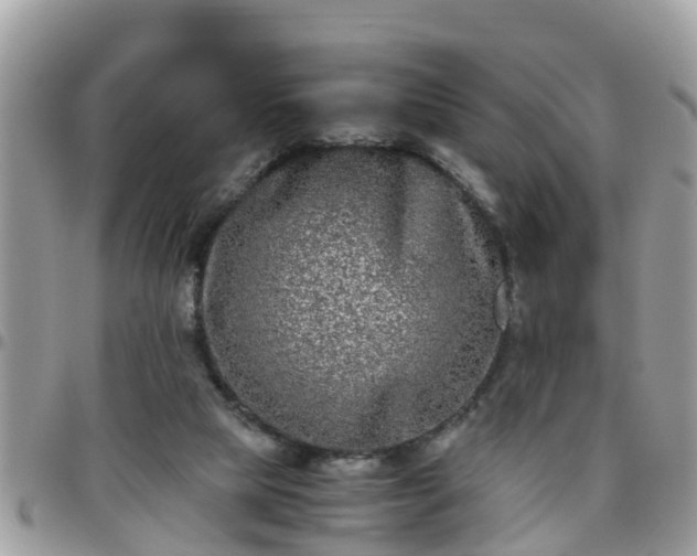 X0000095910065200801181405