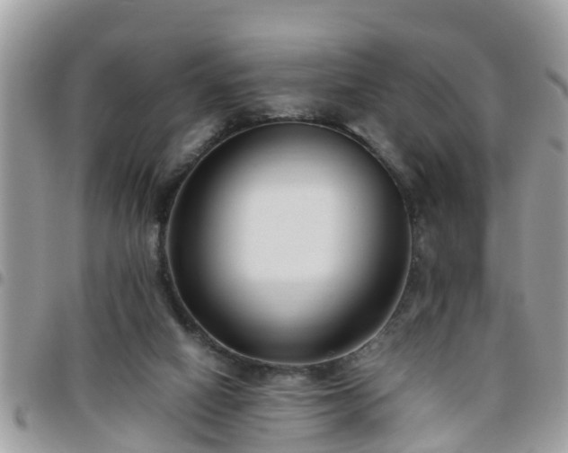 X0000095910066200801181405