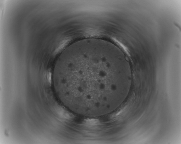 X0000095910067200801181405