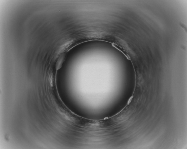 X0000095910068200801181405