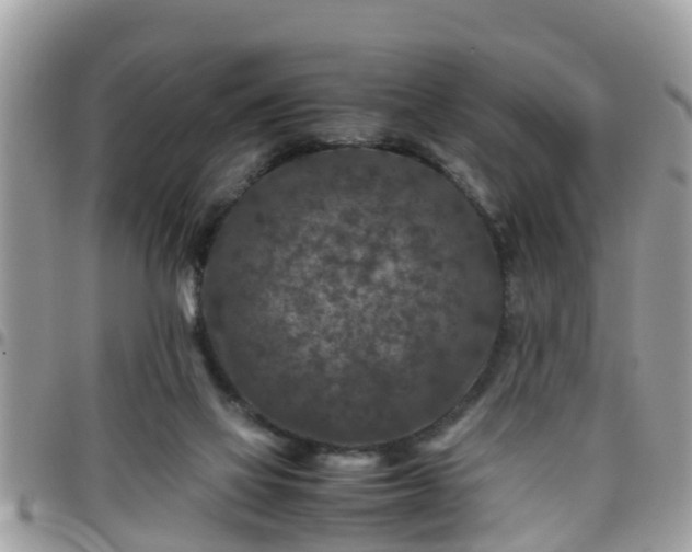 X0000095910069200801181405