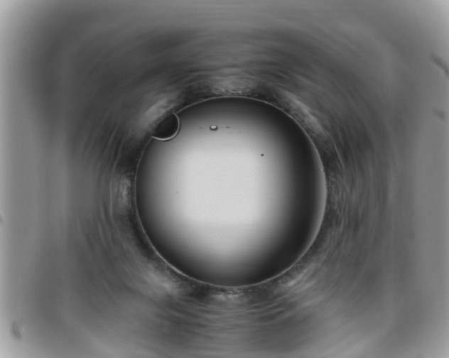 X0000095910071200801181405