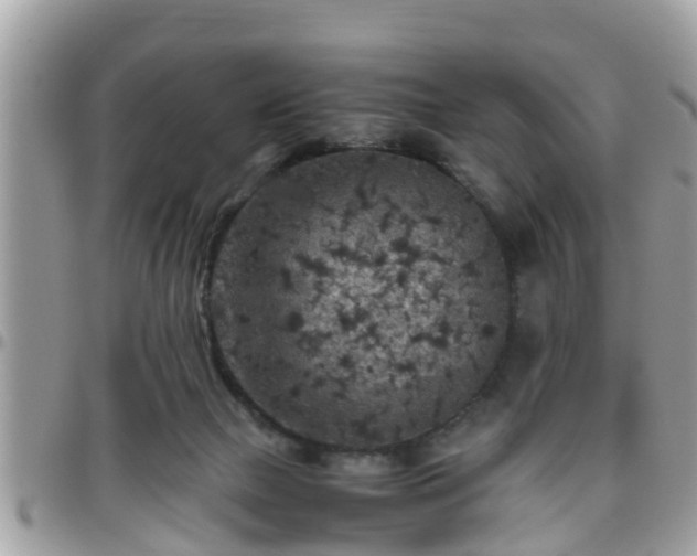 X0000095910073200801181405