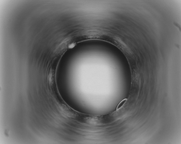 X0000095910074200801181405