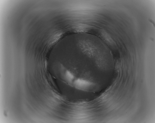 X0000095910076200801181405