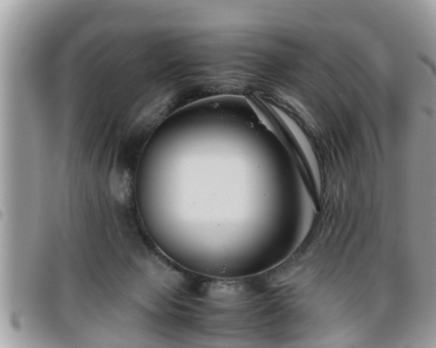 X0000095910077200801181405