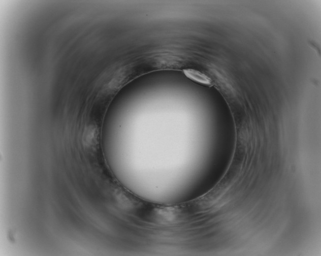 X0000095910079200801181405