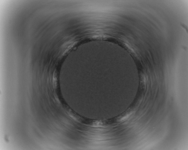 X0000095910080200801181405