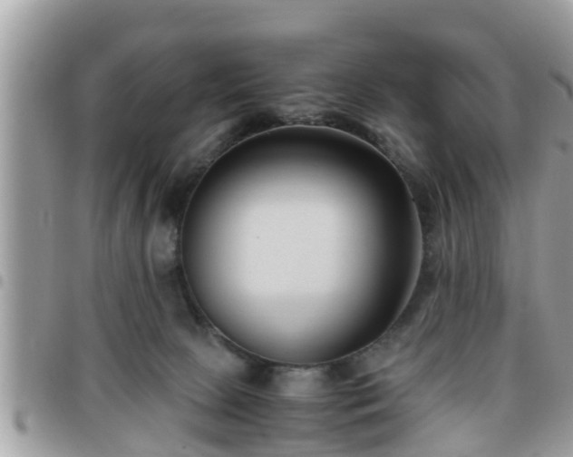 X0000095910081200801181405