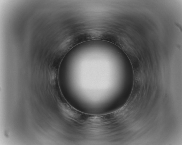 X0000095910082200801181405