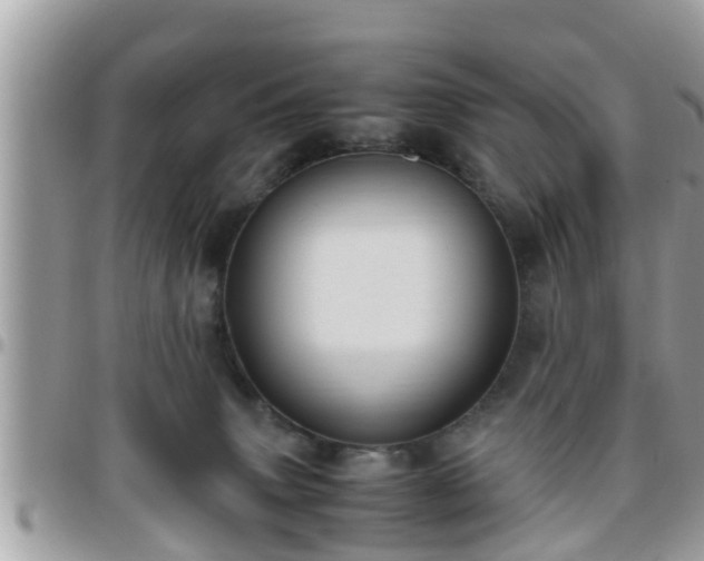 X0000095910083200801181405