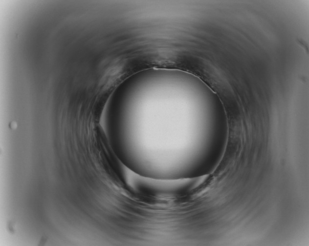 X0000095910084200801181405