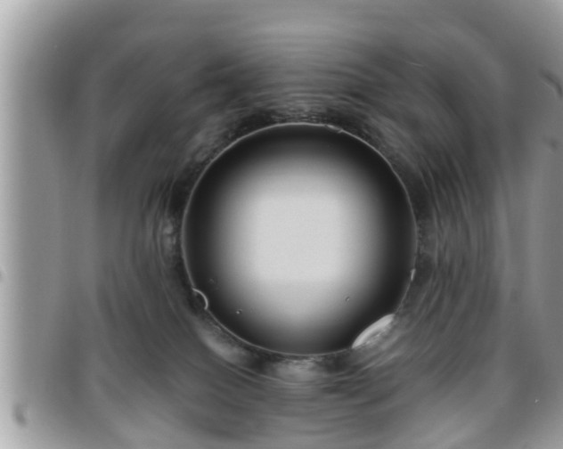 X0000095910086200801181405