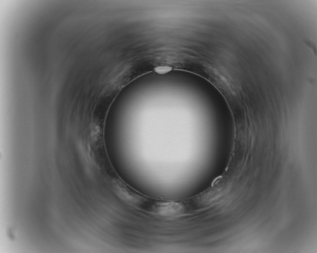 X0000095910087200801181405