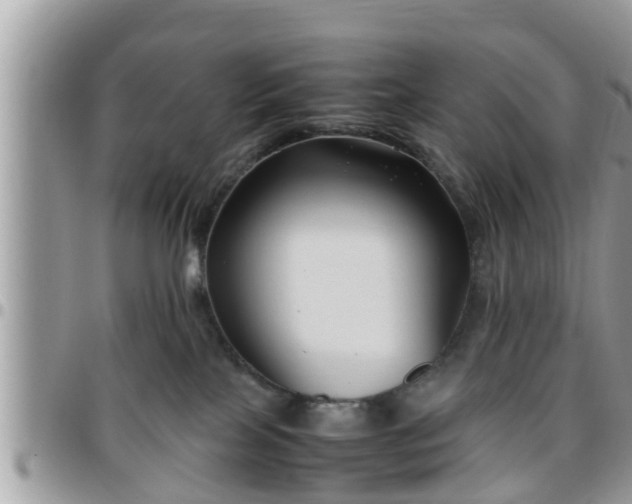 X0000095910089200801181405