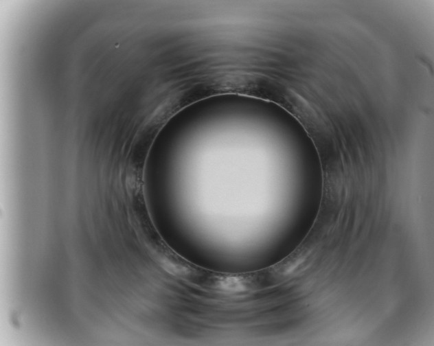 X0000095910091200801181405