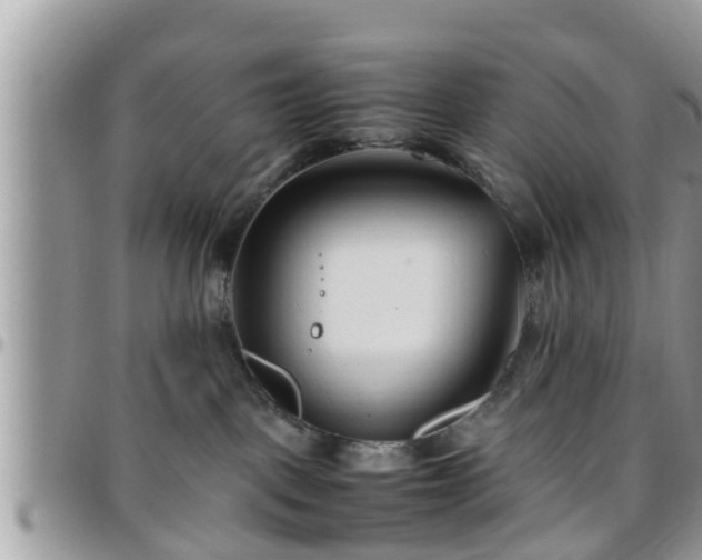 X0000095910093200801181405