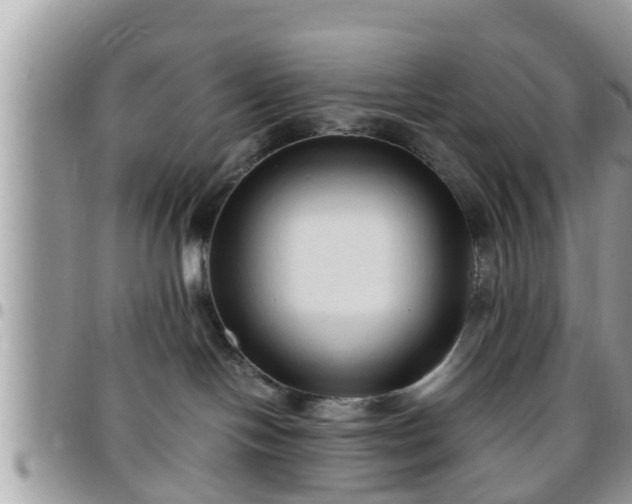 X0000095910094200801181405