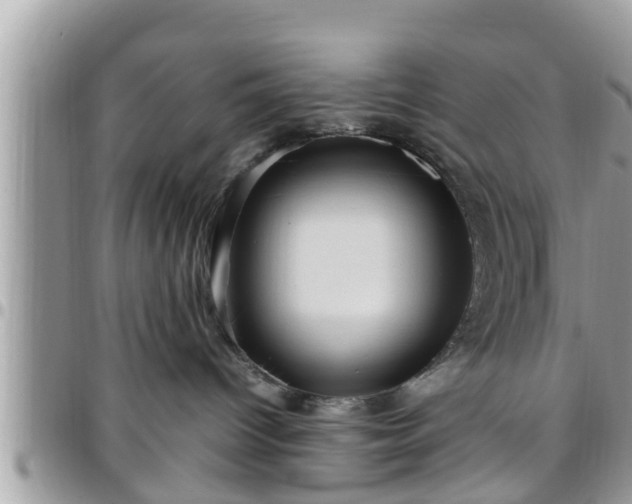 X0000095910096200801181405