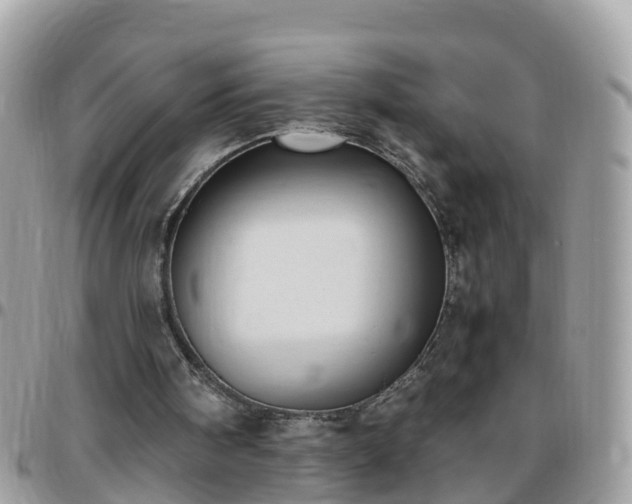 X0000095910098200801181404